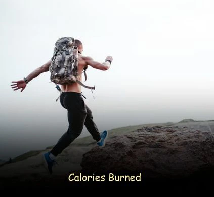 Rucking vs Hiking: 10 Key Differences Explained – physical benefits of rucking vs hiking muscle strength endurance and heart health comparison