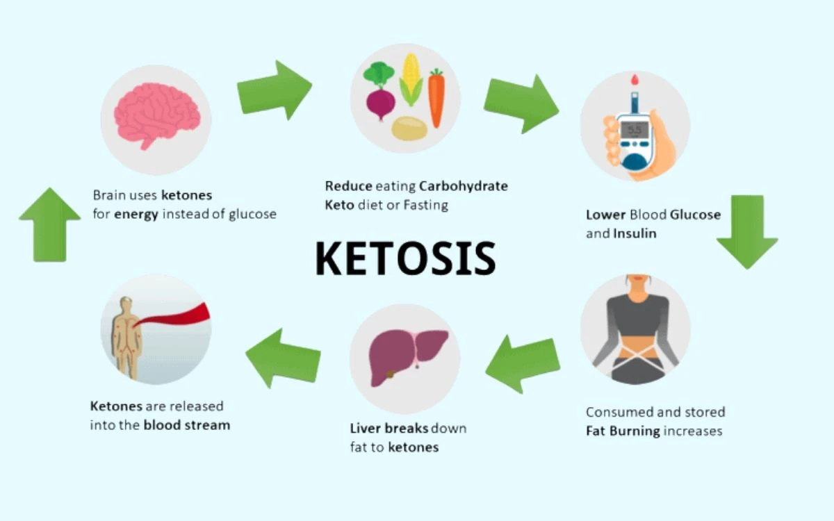 How a Carnivore Diet Causes Weight Loss