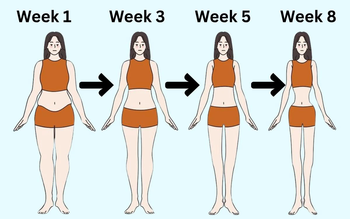 Month 2–3 Steady Fat Loss