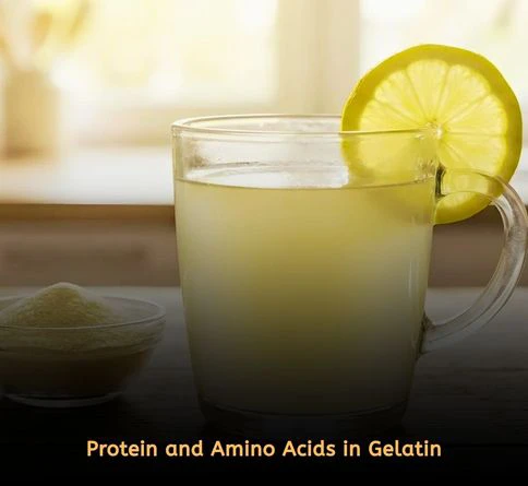 Protein and Amino Acids in Gelatin