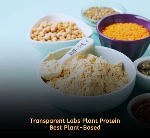 Transparent Labs plant protein powder for weight loss clean vegan pea and rice protein with high protein low calorie formula
