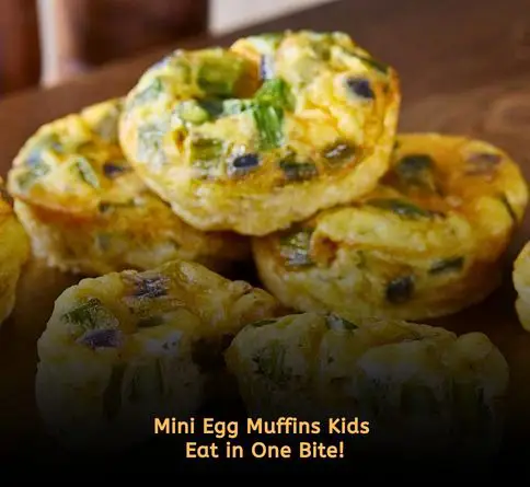 Mini muffin tin frittatas with eggs and vegetables for kids picnic food.