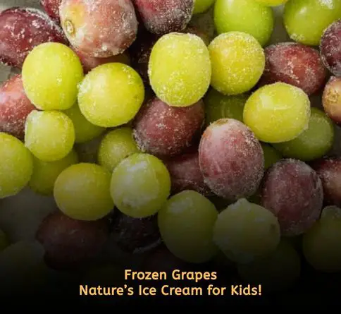 Frozen grapes and berries served as refreshing kids picnic snack.