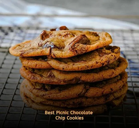 Homemade chocolate chip cookies in picnic tin box