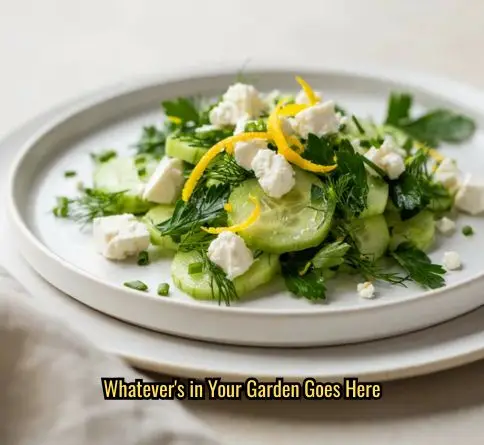  Lemon herb cucumber feta salad with fresh parsley, dill, chives, and lemon zest on a white plate.