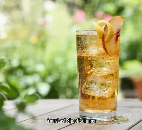 Ginger peach shrub fizz in a highball glass with bubbles, peach slice, and lemon twist garnish.
